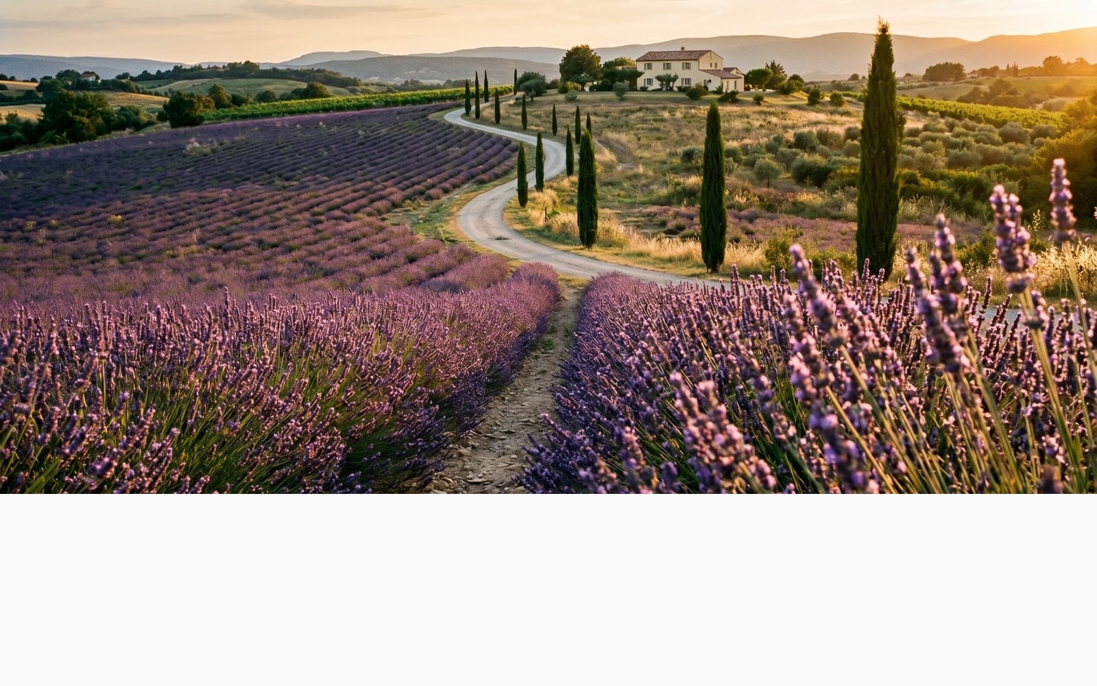 A Provence lavender field gives a warm purple and golden-wheat palette in six swatches with hex codes.