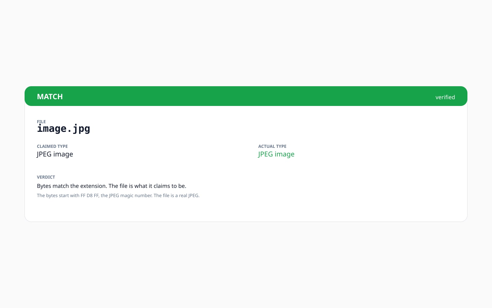 A real JPEG returns a green MATCH banner with the FF D8 FF magic bytes called out as proof.