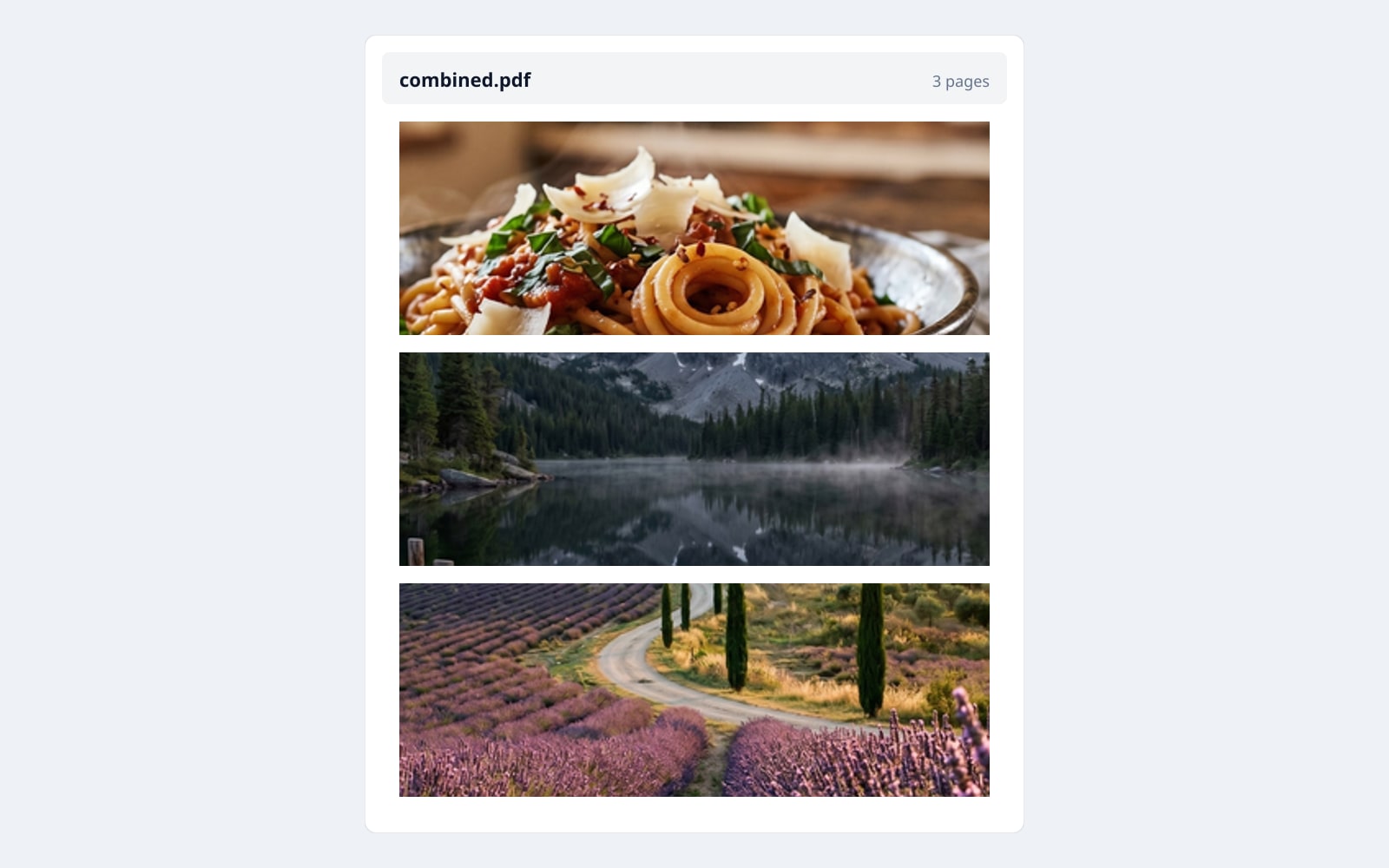 Three loose photographs scattered on a desk, then the same three combined into a single PDF page.