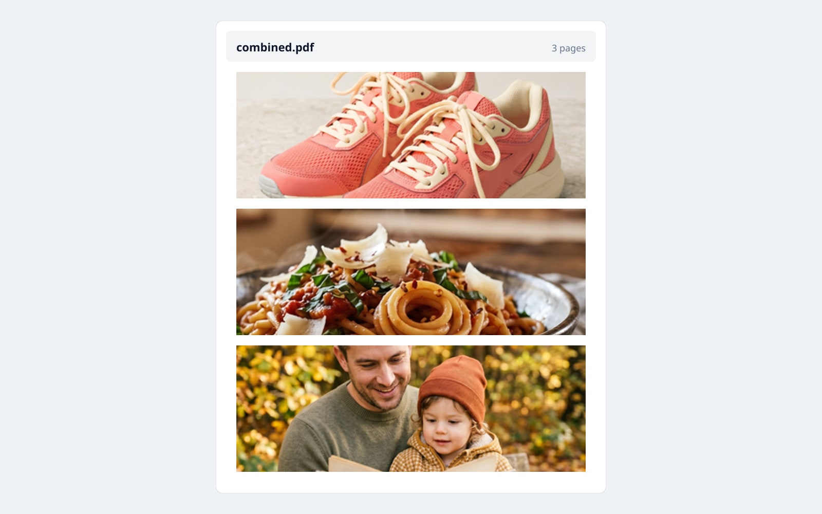 Three portfolio photographs combined into one A4 PDF, in the order you dropped them.